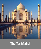 The Taj Mahal India